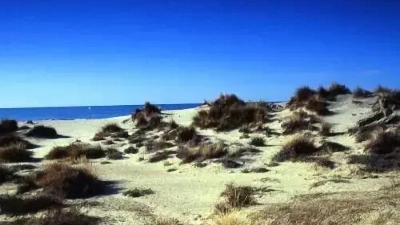 Photo of Others in Boisseron