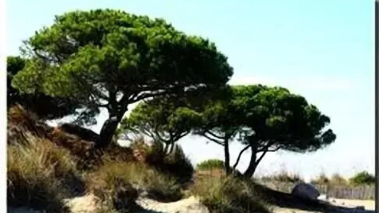 Photo of Others in Boisseron