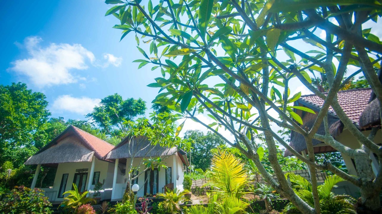 Photo of Outdoor in Penida Island