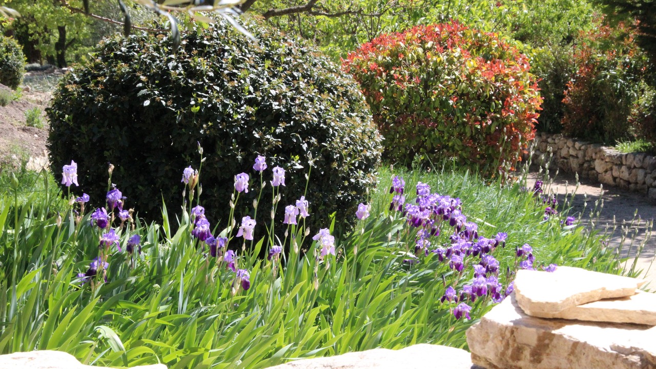 Photo of Outdoor in Murs