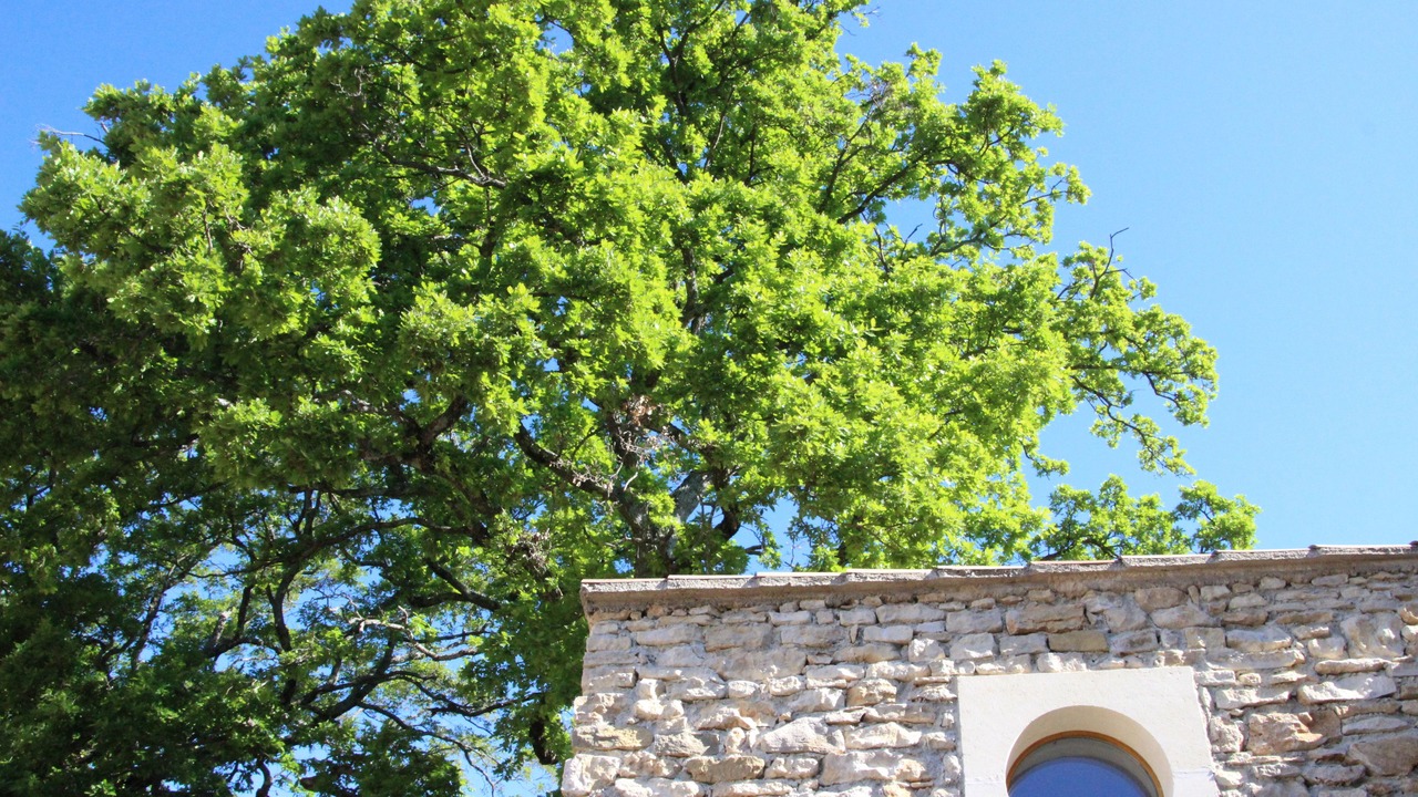 Photo of Outdoor in Murs