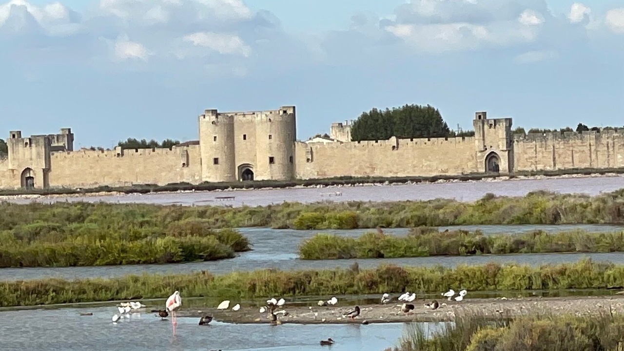 Photo of Outdoor in Aigues-Mortes