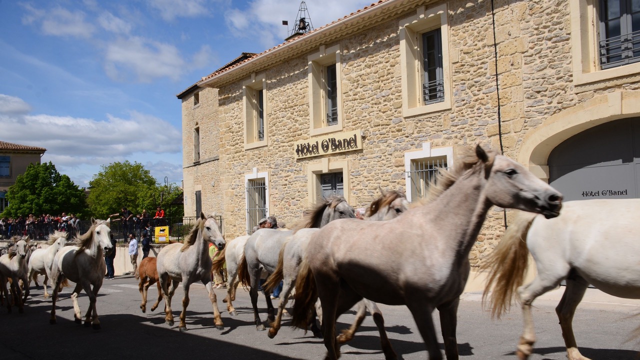Photo of Outdoor in Gallargues-le-Montueux