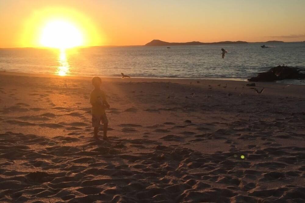 Photo of Others in Rangiputa