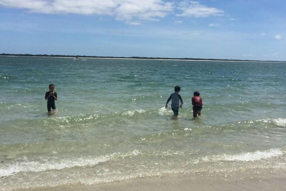 Photo of Others in Rangiputa