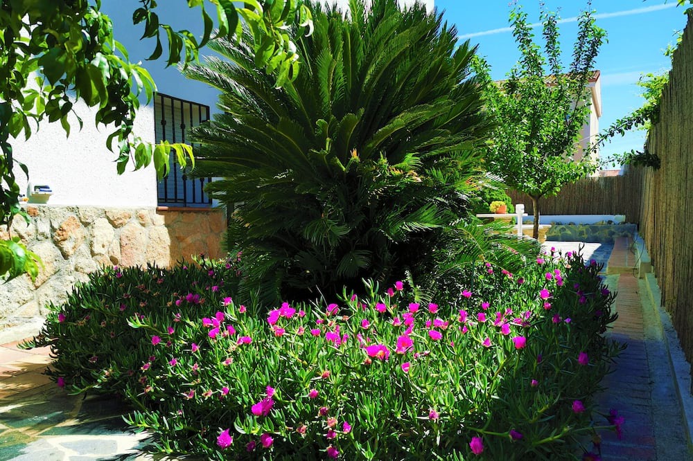 Photo of Outdoor in Carranque