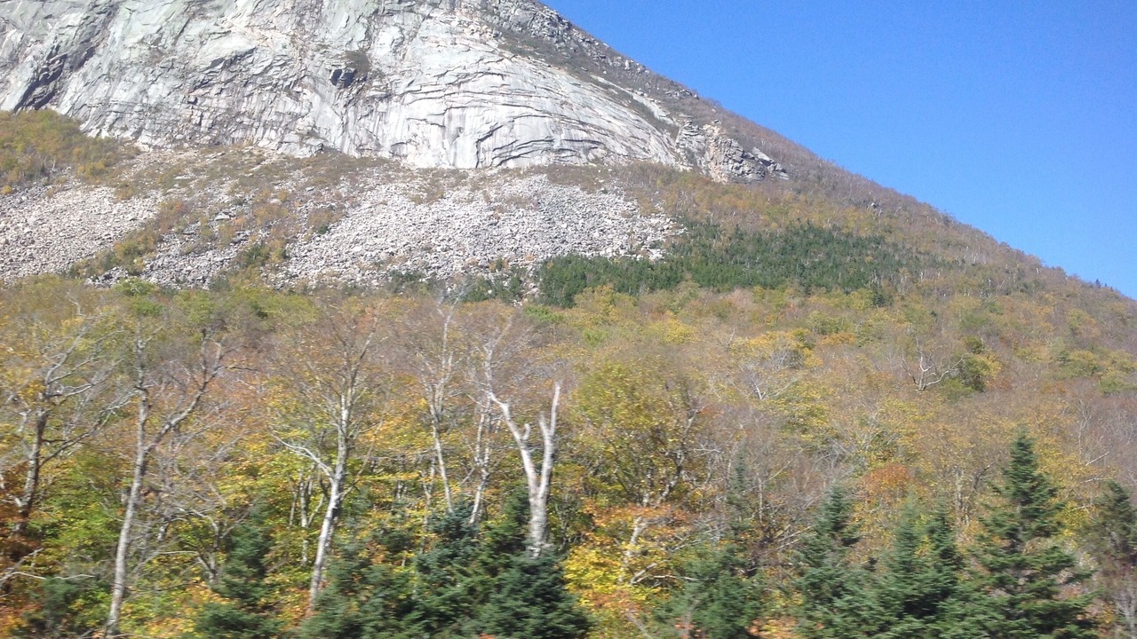 Photo of Others in Lancaster