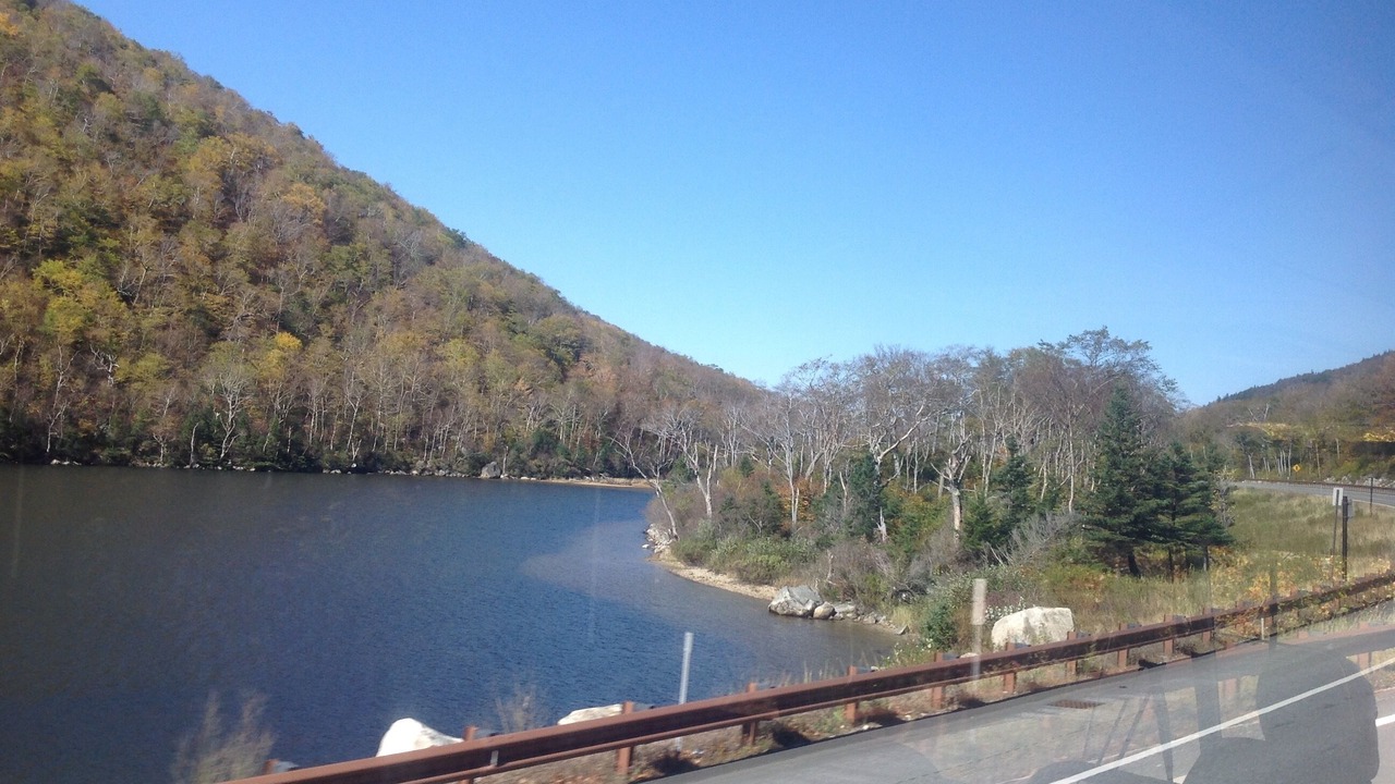 Photo of Others in Lancaster