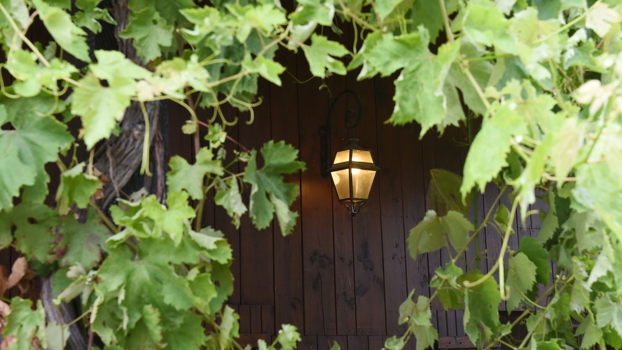 Photo of Outdoor in Marions