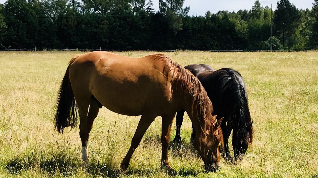 Photo of Outdoor in Marions