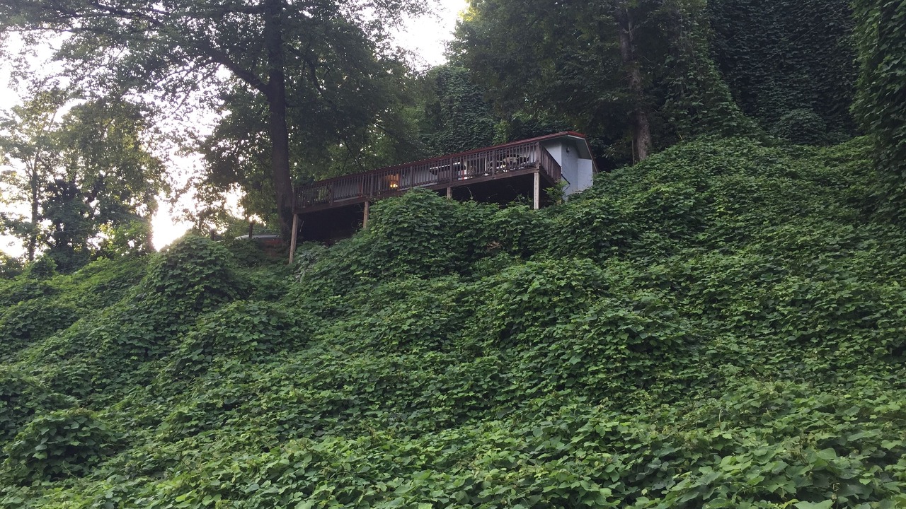 Photo of Outdoor in Chimney Rock