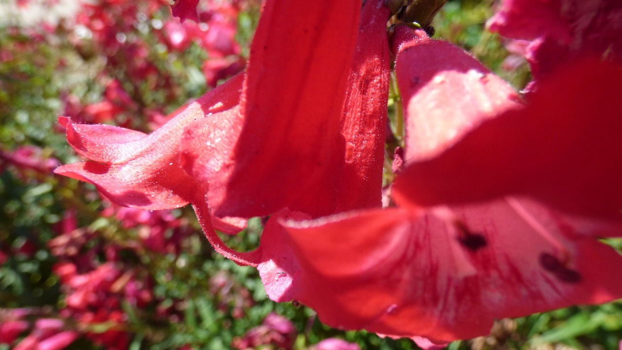 Photo of Outdoor in Calorguen