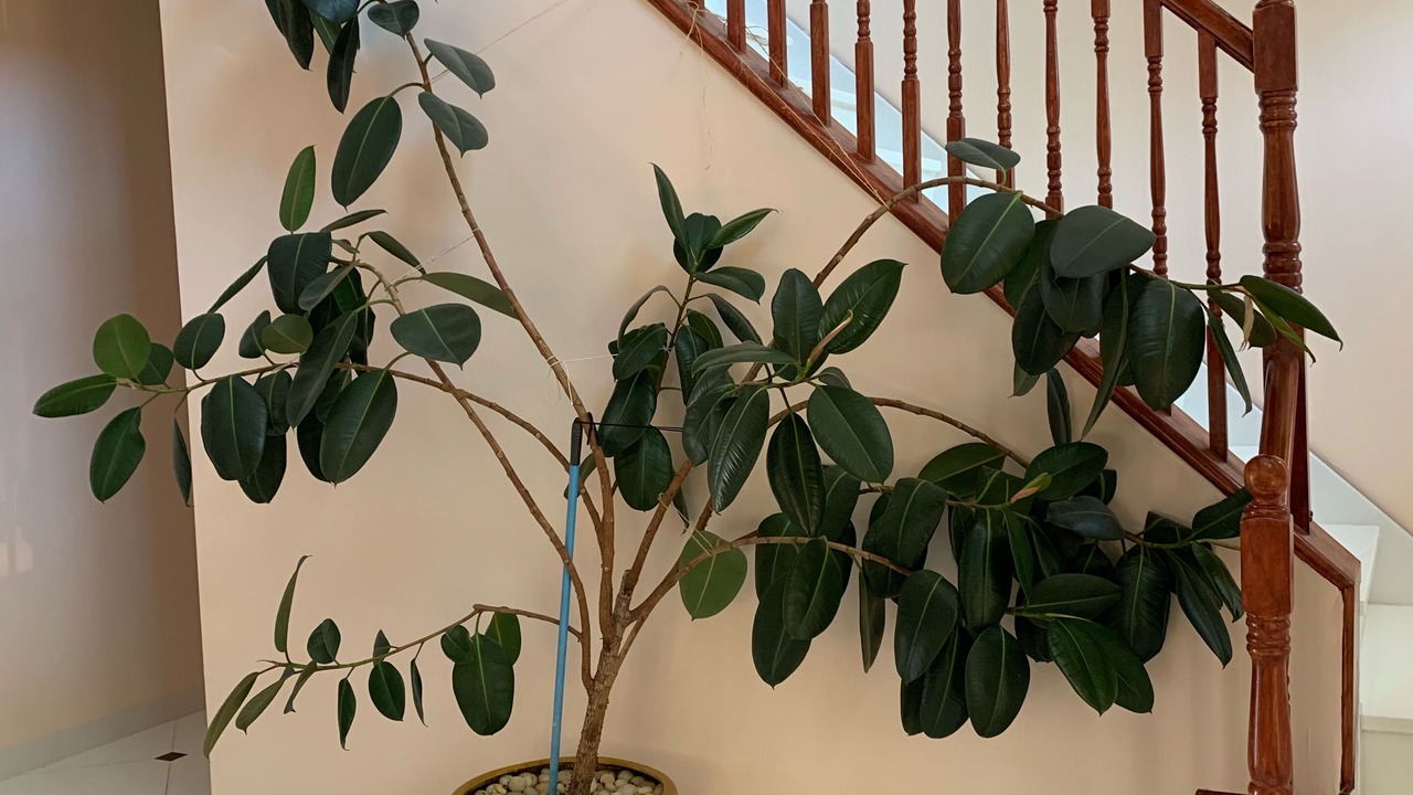 Photo of Others in Town of Southold Town