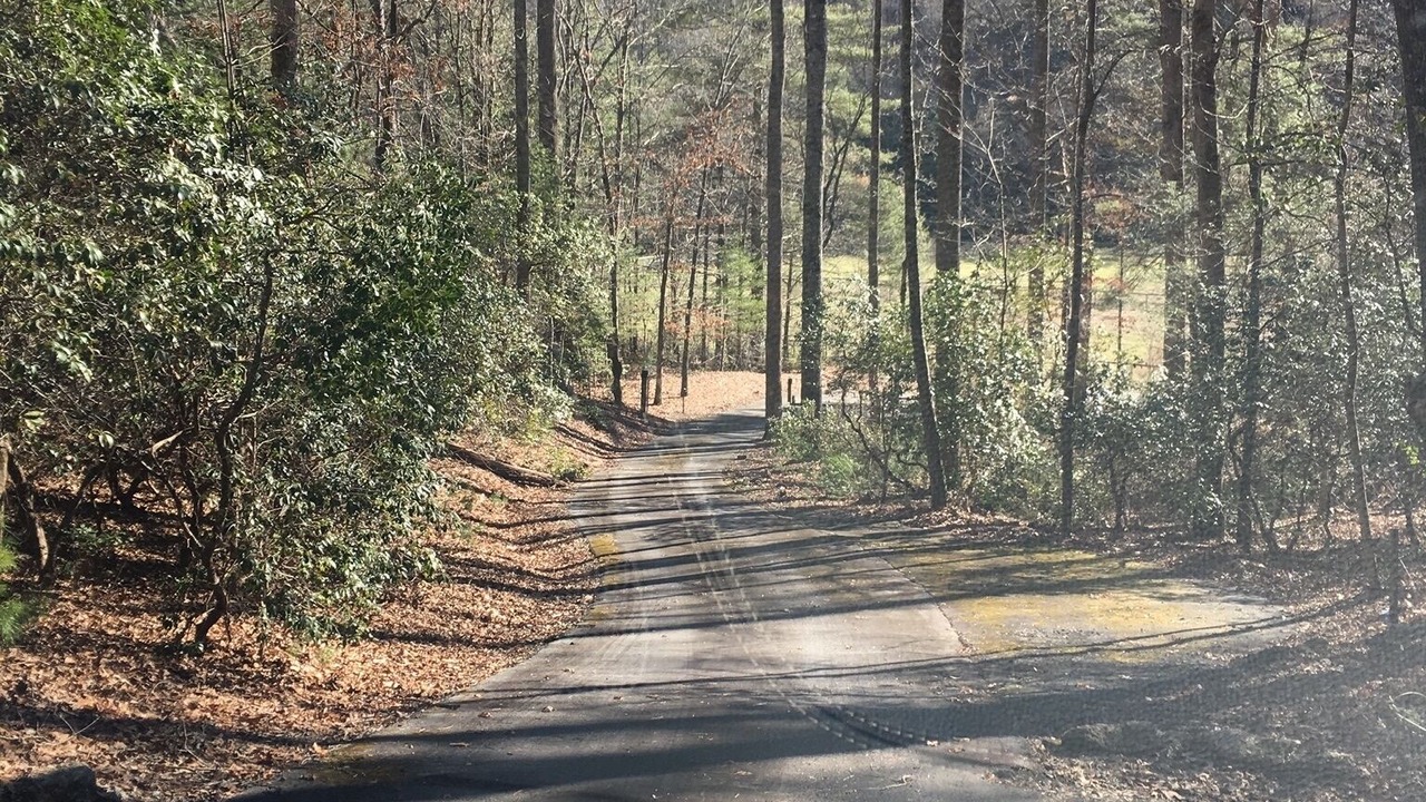 Photo of Others in Hendersonville