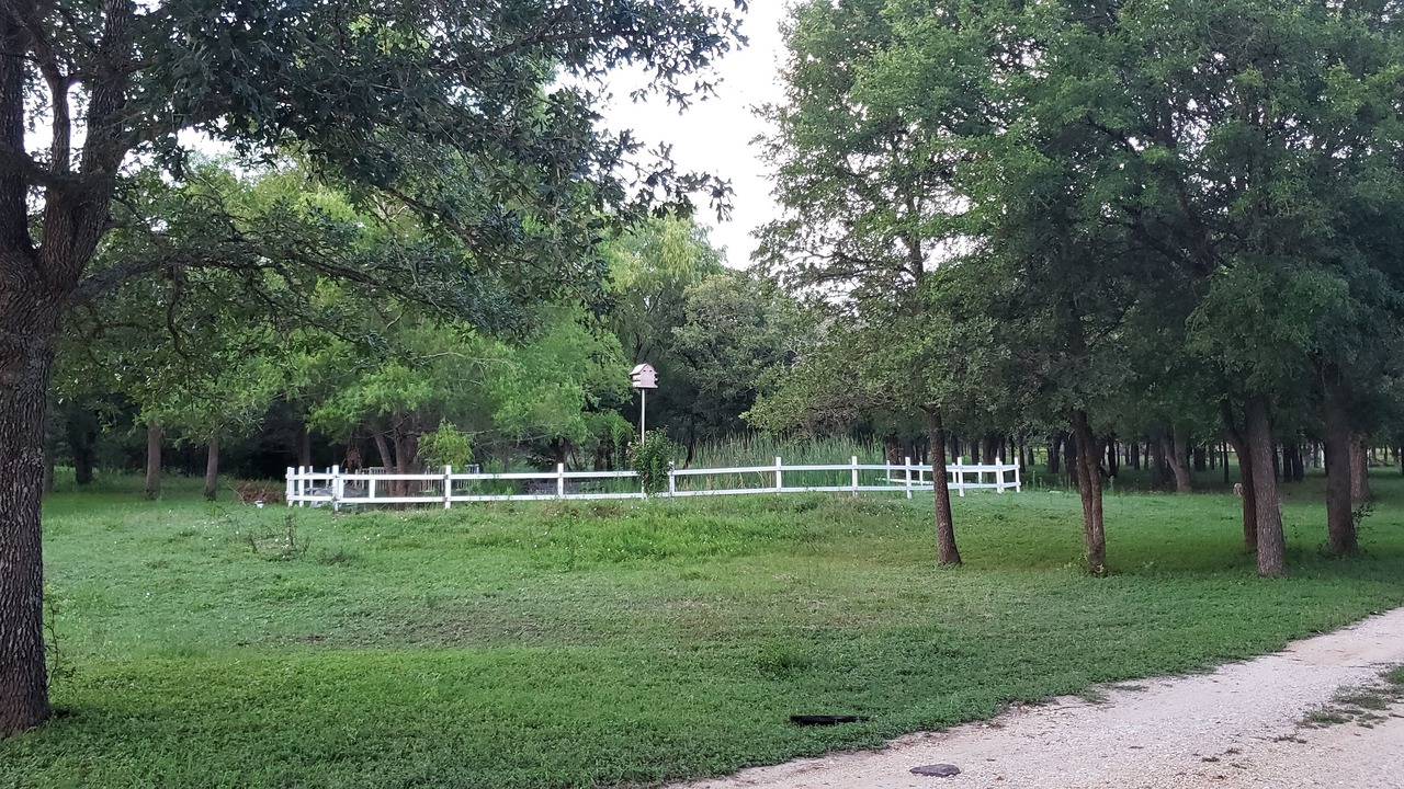 Photo of Outdoor in Dale