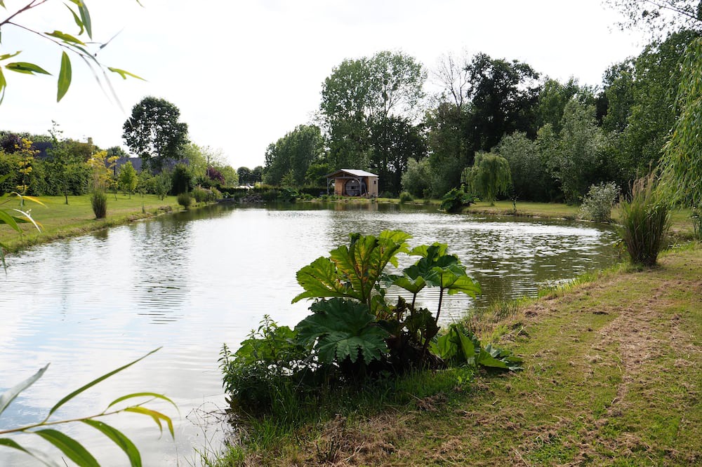 Photo of Outdoor in Baguer-Pican