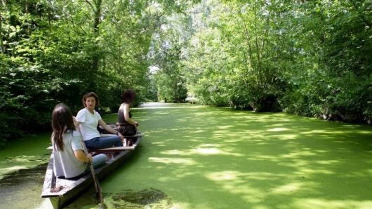 Photo of Others in Auchay-sur-Vendee