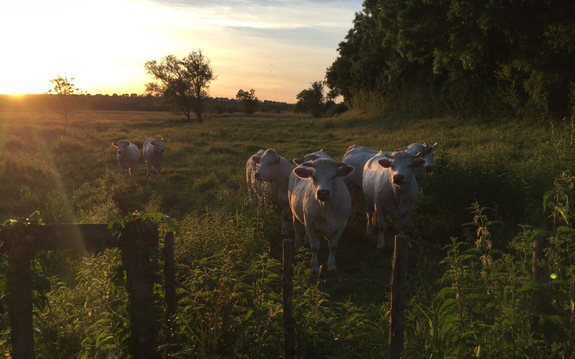 Photo of Outdoor in Auchay-sur-Vendee