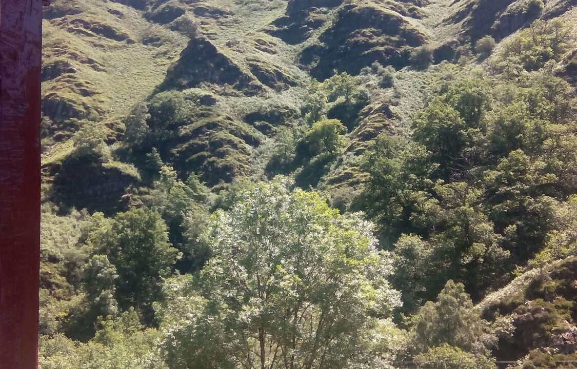 Photo of Outdoor in Valcarlos