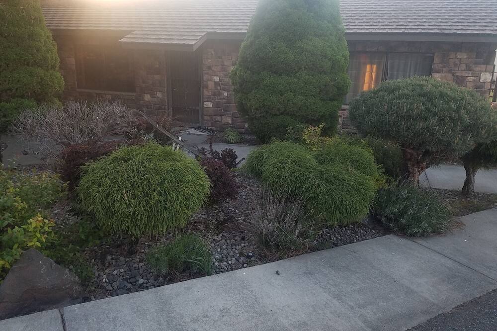 Photo of Outdoor in Eltopia