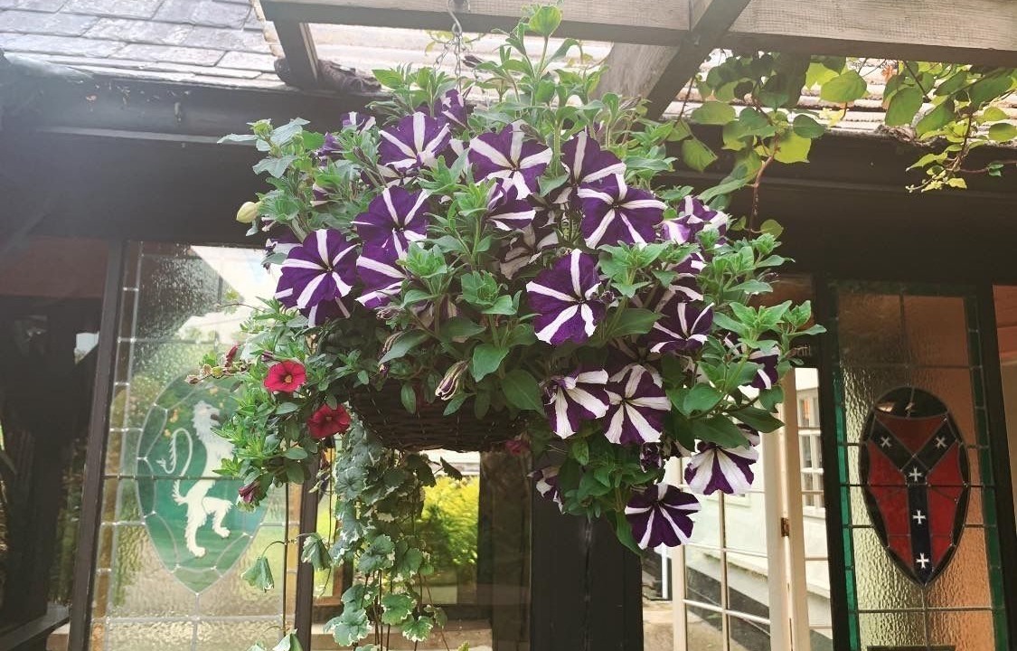 Photo of Outdoor in Bideford