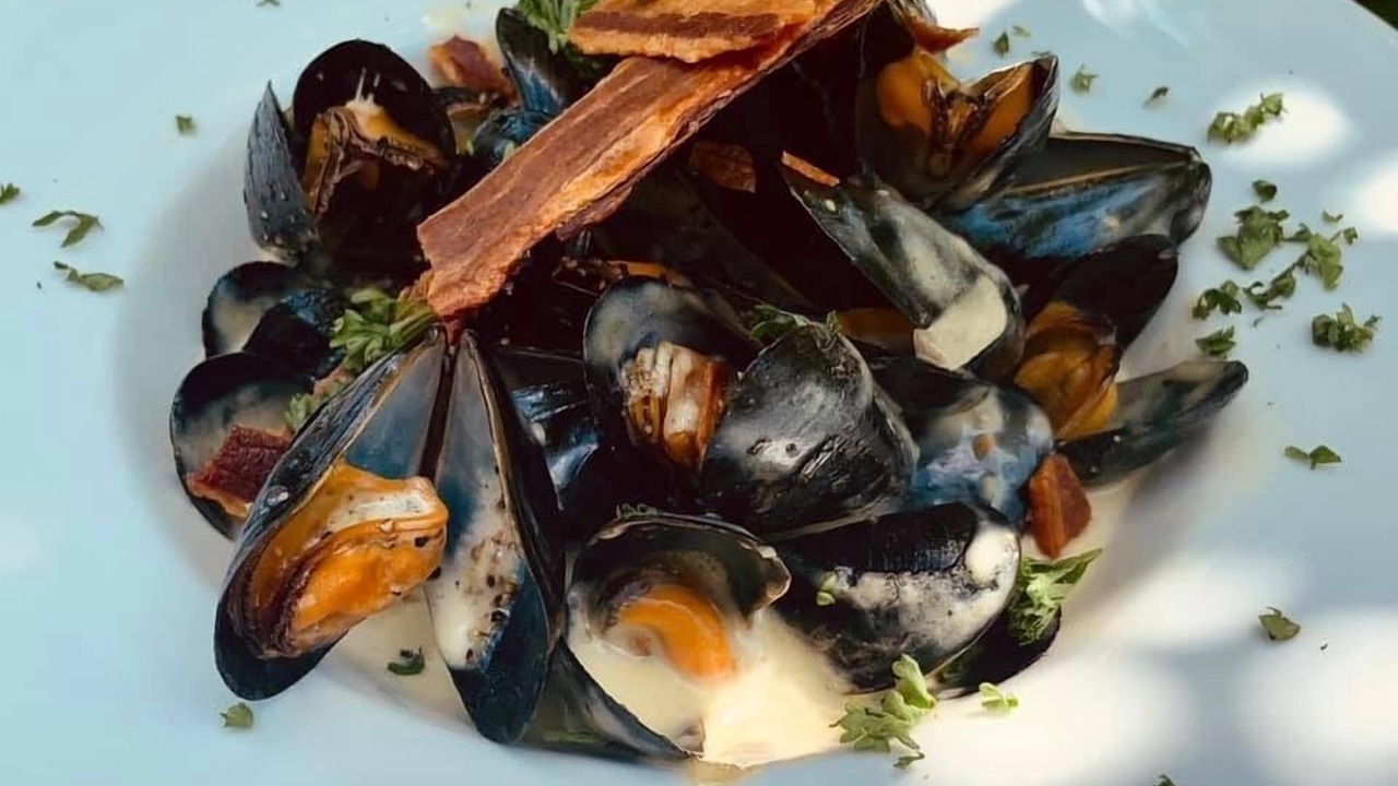 Photo of Others in Bideford