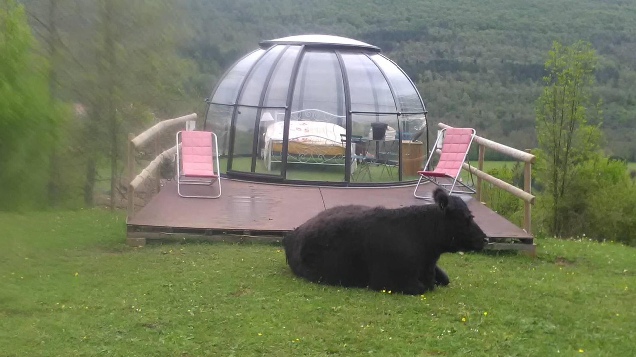 Photo of Outdoor in Montoulieu