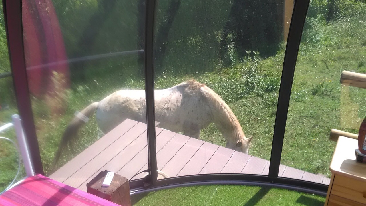 Photo of Others in Montoulieu