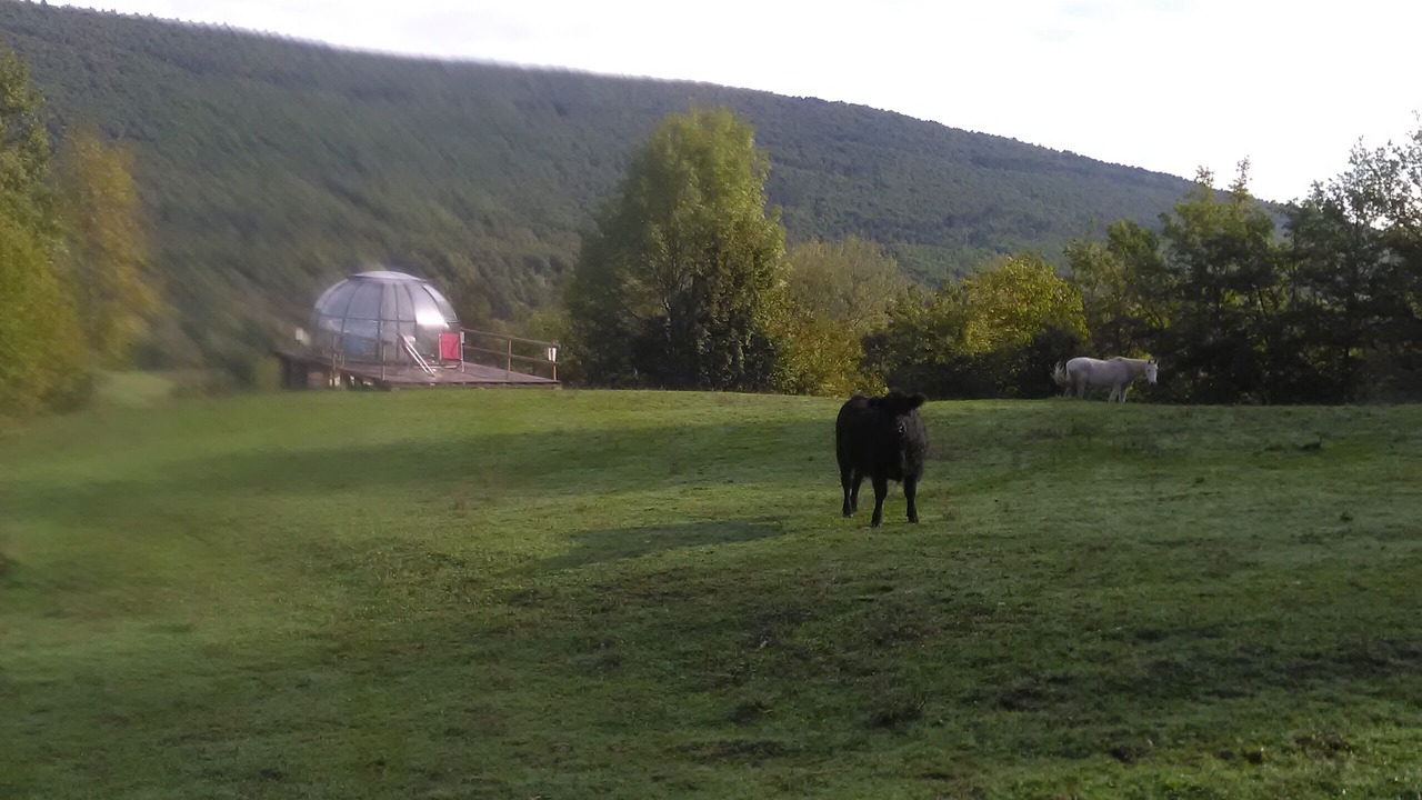 Photo of Outdoor in Montoulieu