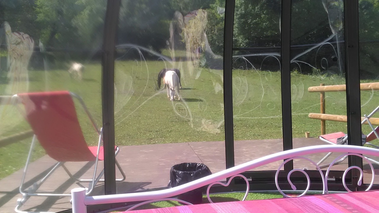 Photo of Others in Montoulieu