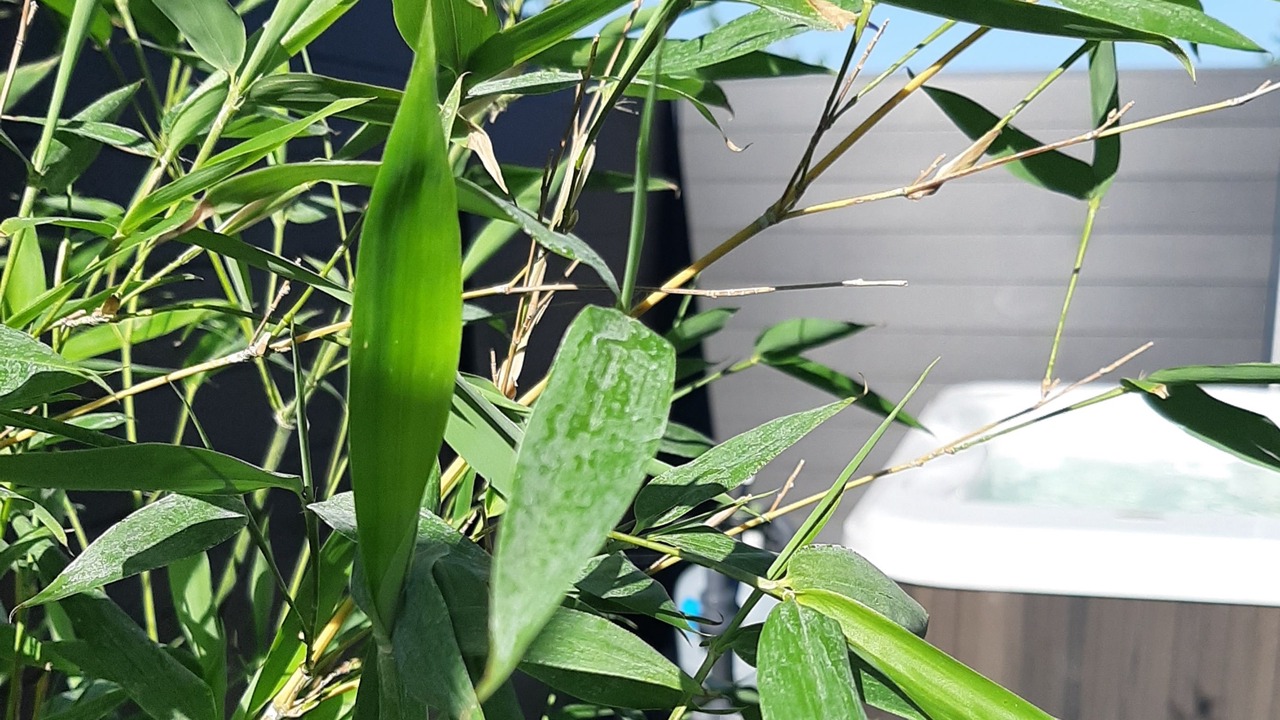 Photo of Patio Balcony in Creuzier-le-Neuf
