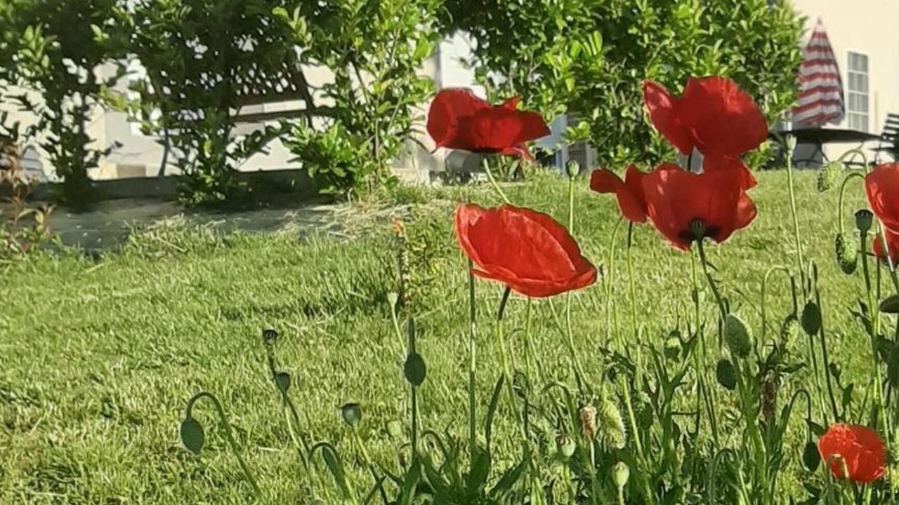 Photo of Outdoor in Creuzier-le-Neuf