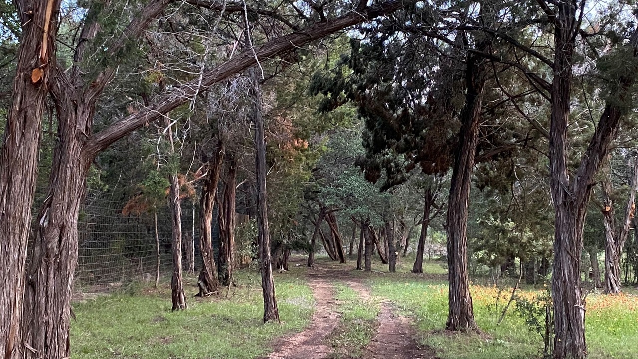 Photo of Outdoor in Wimberley