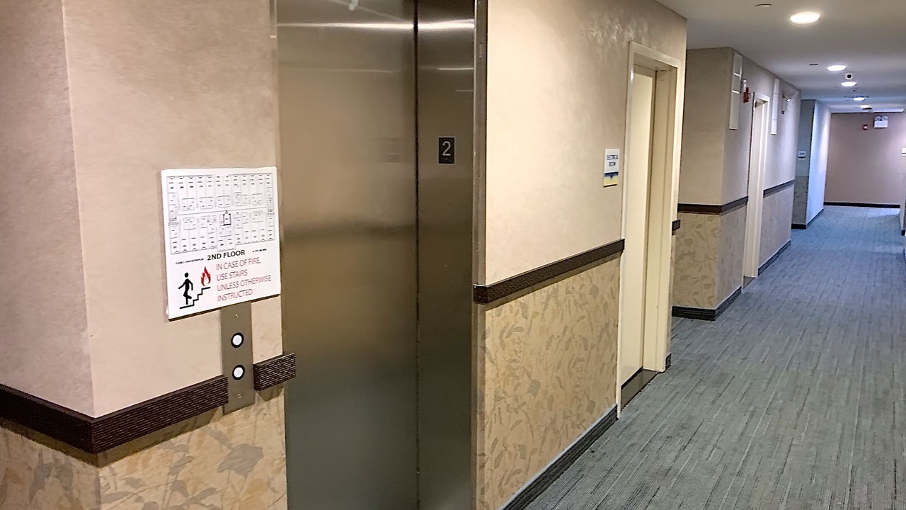 Photo of Others in Castle Hill