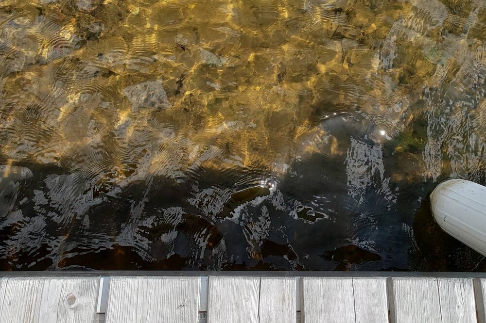Photo of Others in Lake Tomahawk