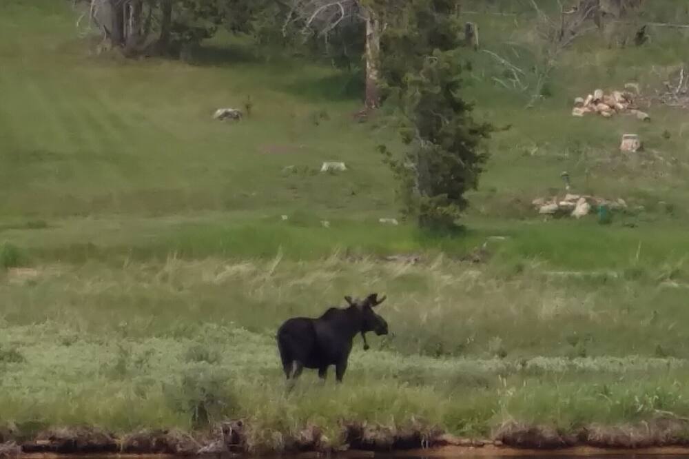 Photo of Outdoor in Georgetown