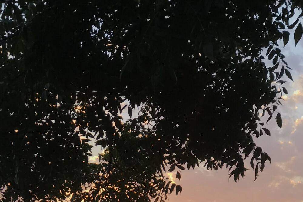 Photo of Outdoor in Flint