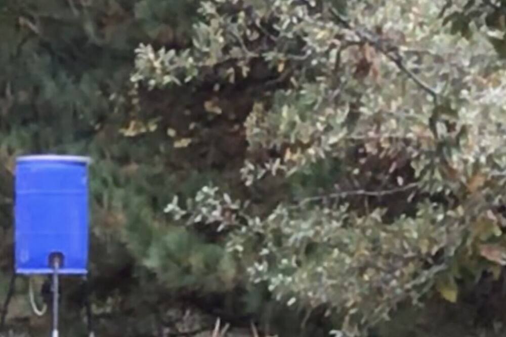 Photo of Outdoor in Flint