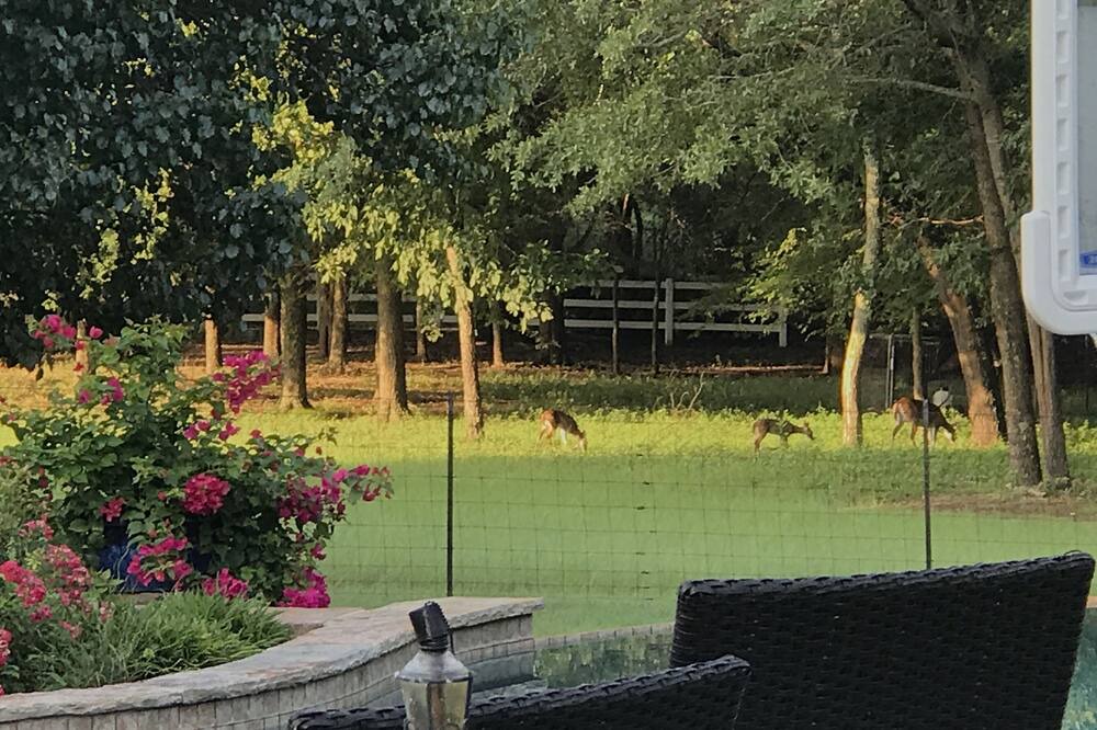Photo of Outdoor in Flint