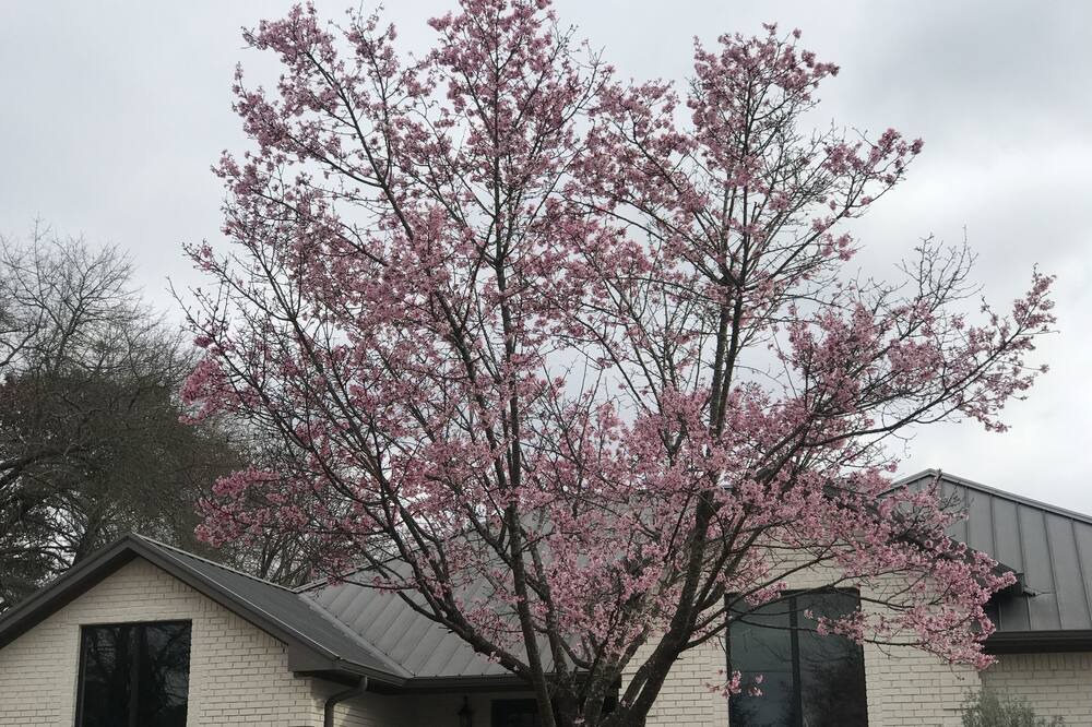 Photo of Outdoor in Flint
