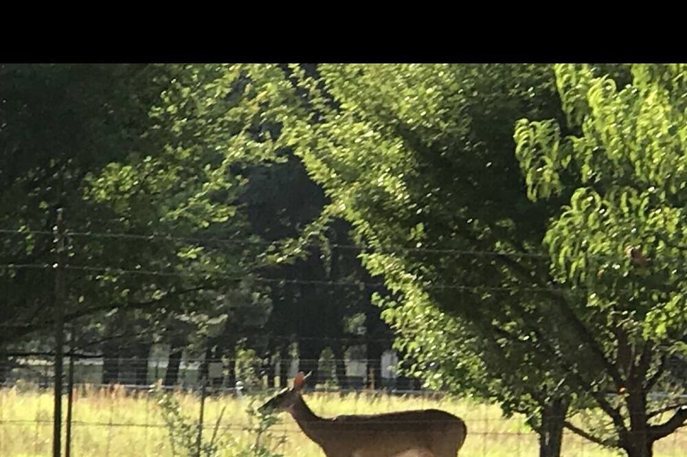 Photo of Outdoor in Flint