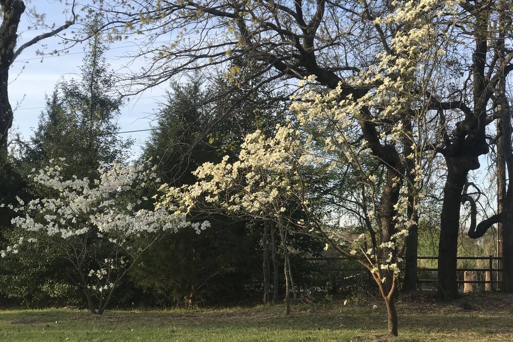 Photo of Outdoor in Flint