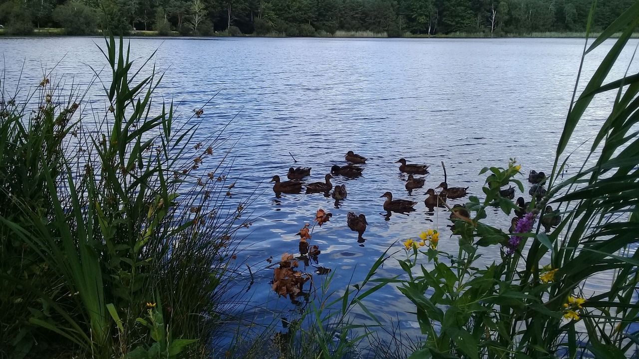 Photo of Others in Salbris