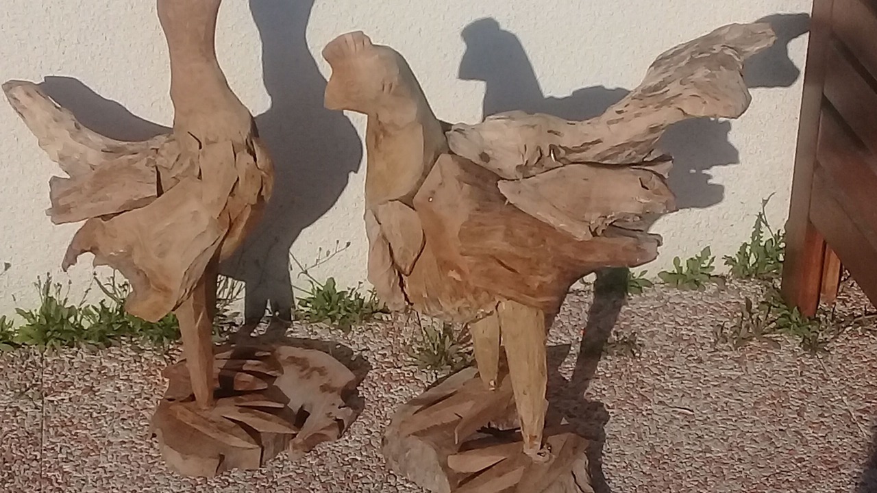 Photo of Others in Salbris