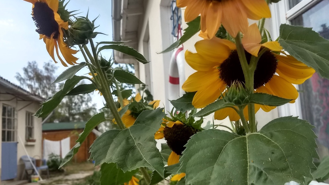 Photo of Outdoor in Salbris