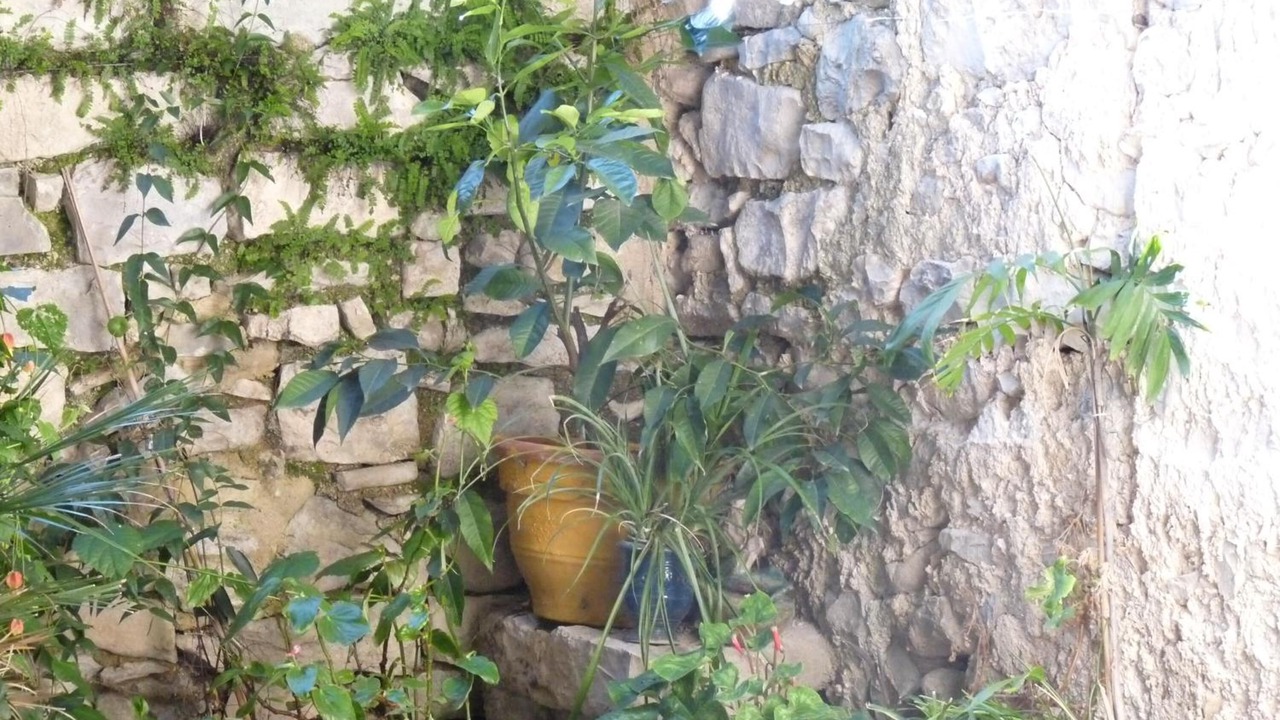 Photo of Outdoor in Fons-sur-Lussan