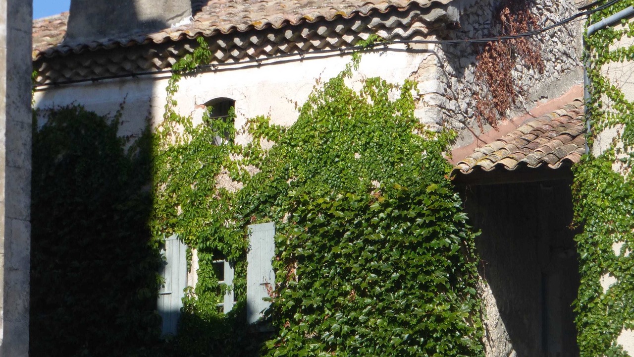 Photo of Outdoor in Fons-sur-Lussan