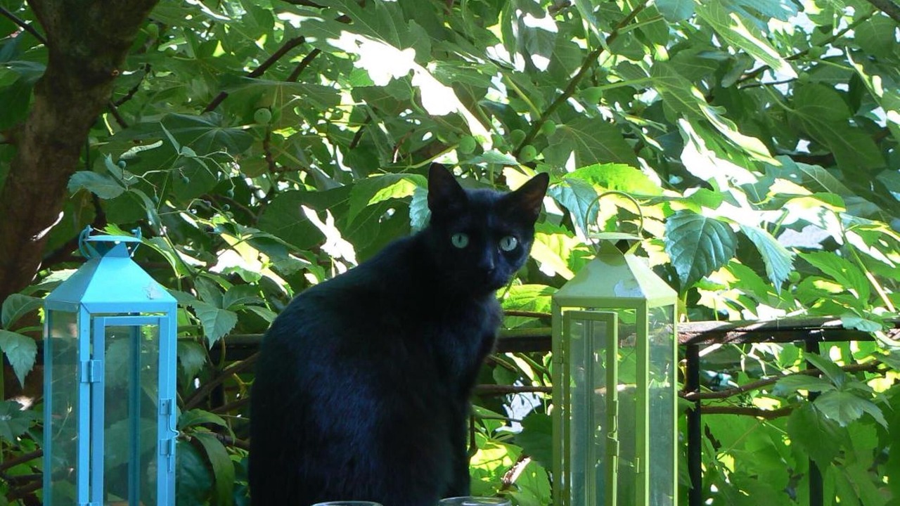 Photo of Outdoor in Fons-sur-Lussan