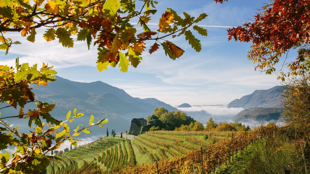 Photo of Outdoor in Vico Morcote