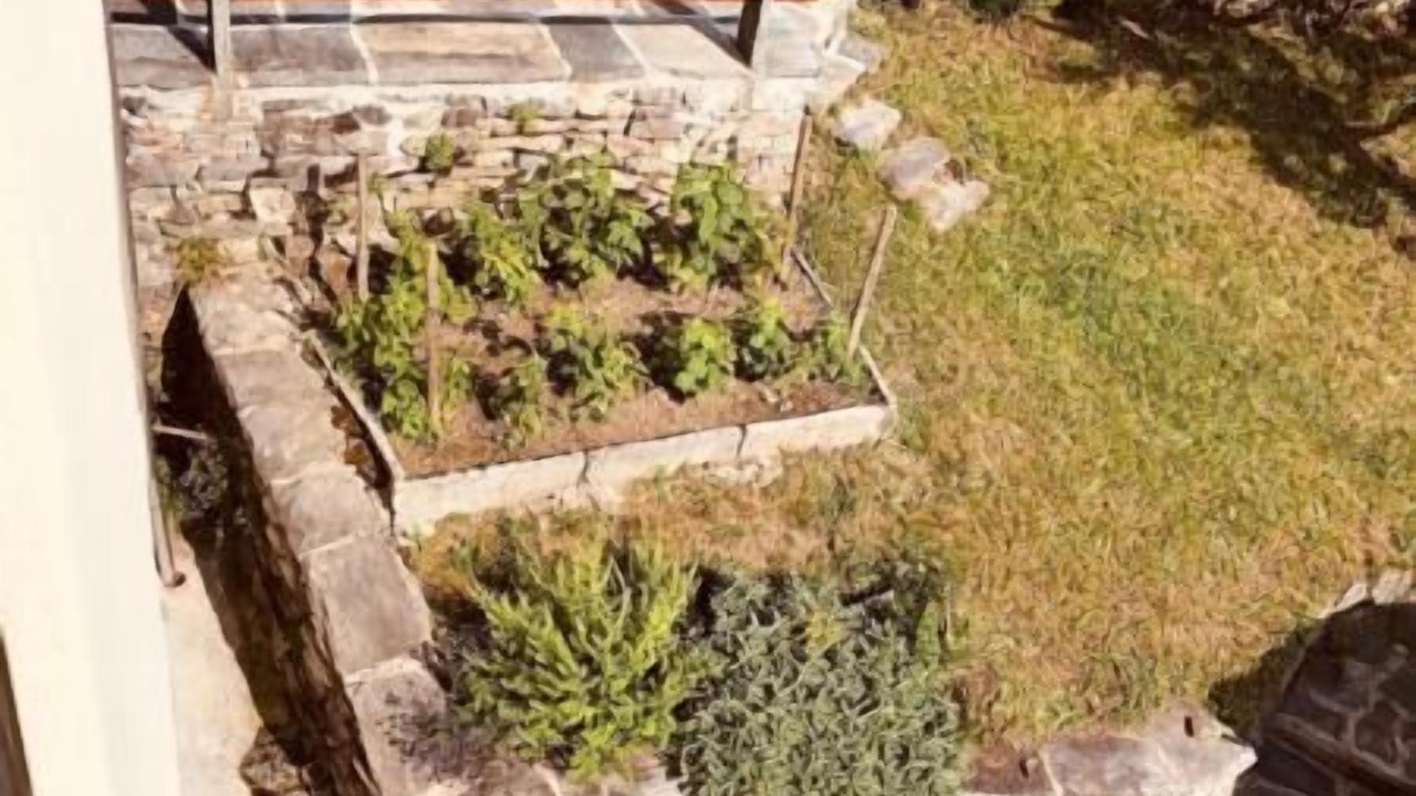 Photo of Patio Balcony in Lionza